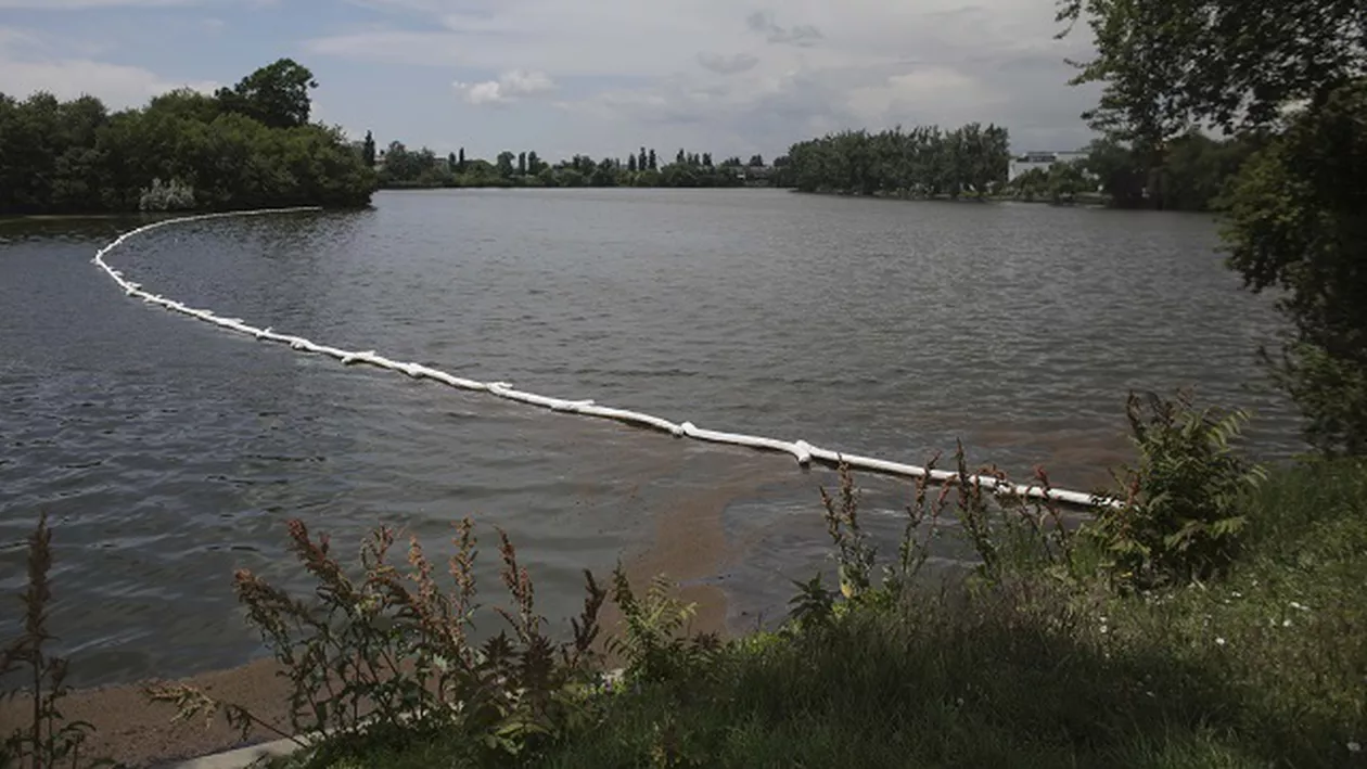 Un nou episod de poluare masivă în Capitală. Garda de Mediu, de urgență la Lacul Băneasa, unde o cantitate uriașă de substanțe poluante a fost devărsată în apă: „Nu există niciun pericol de contaminare” (FOTO, VIDEO)