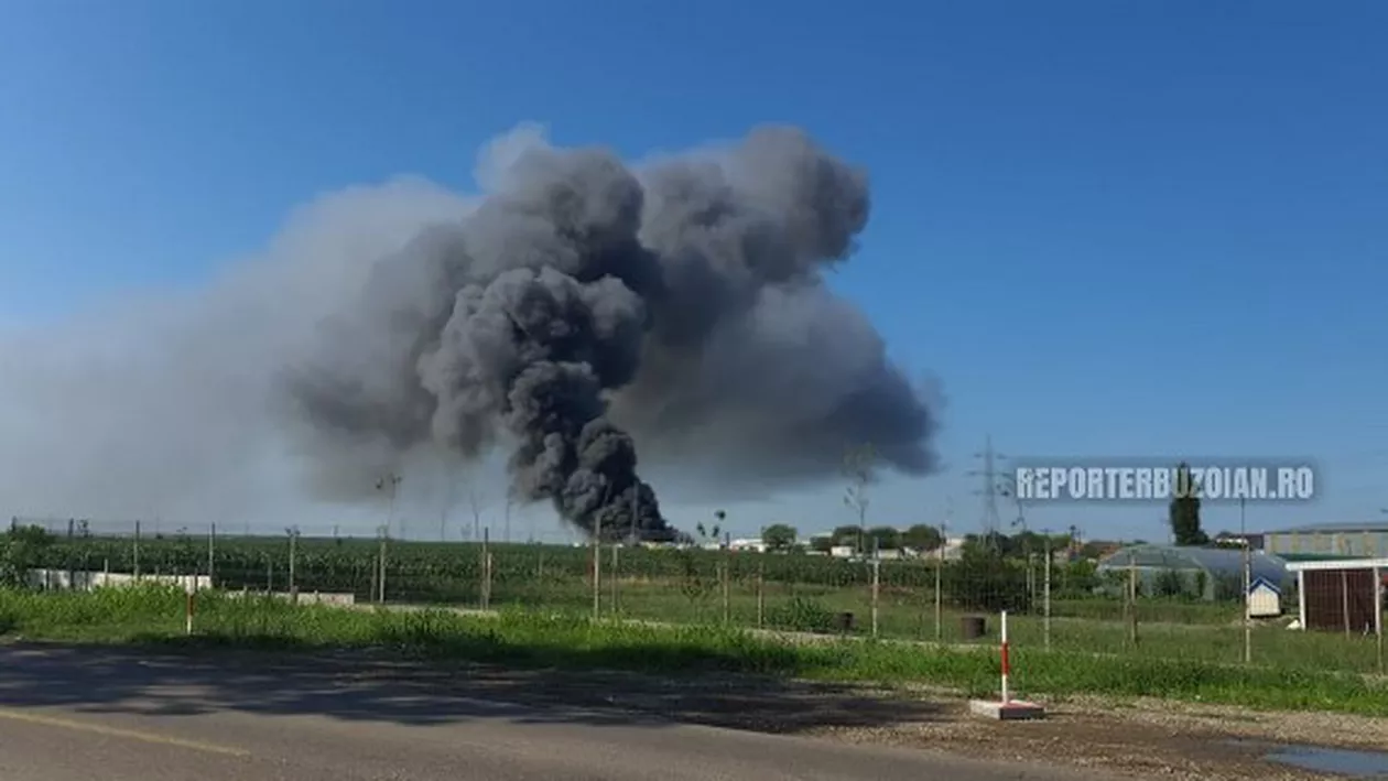 Incendiu violent la un depozit de materiale reciclabile din Buzău: Populația, avertizată printr-un mesaj RO-Alert (VIDEO)