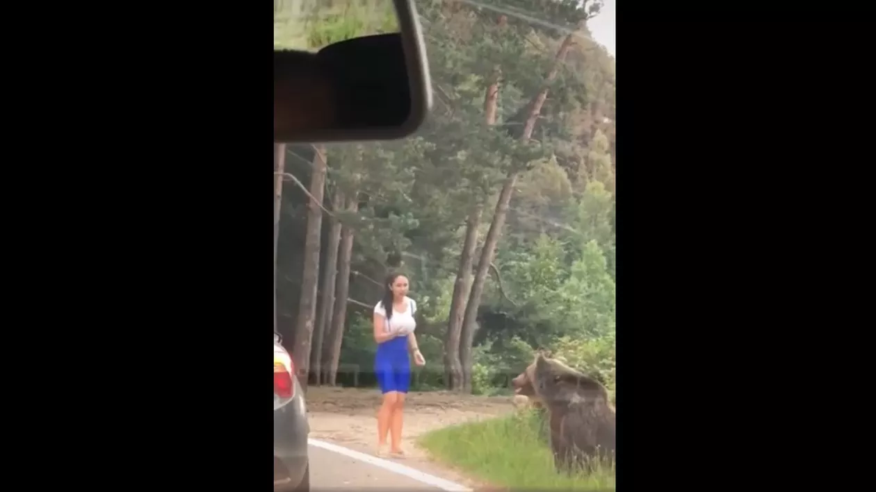 Inconștiență dusă la extrem, în România. O femeie a fost atacată de un urs, după ce a încercat să se pozeze cu el (VIDEO)