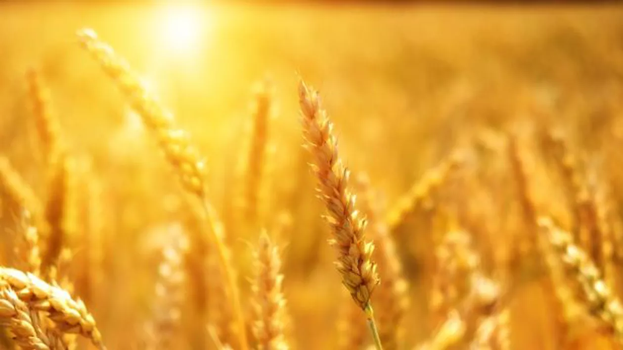 Prognoza meteo, azi, 4 iulie 2020. Vreme caniculară în aceste regiuni ale țării