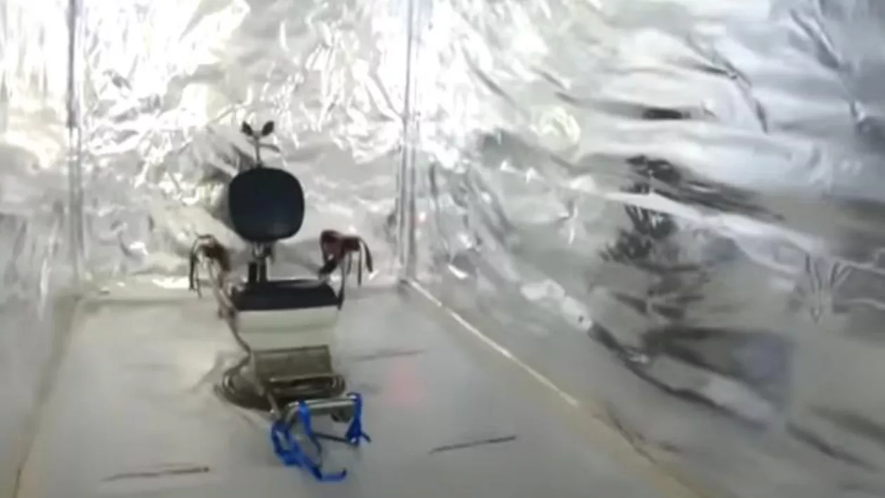 Celule şi camere de tortură din containere maritime, descoperite de polițiștii olandezi. Mafia drogurilor ia amploare (VIDEO)