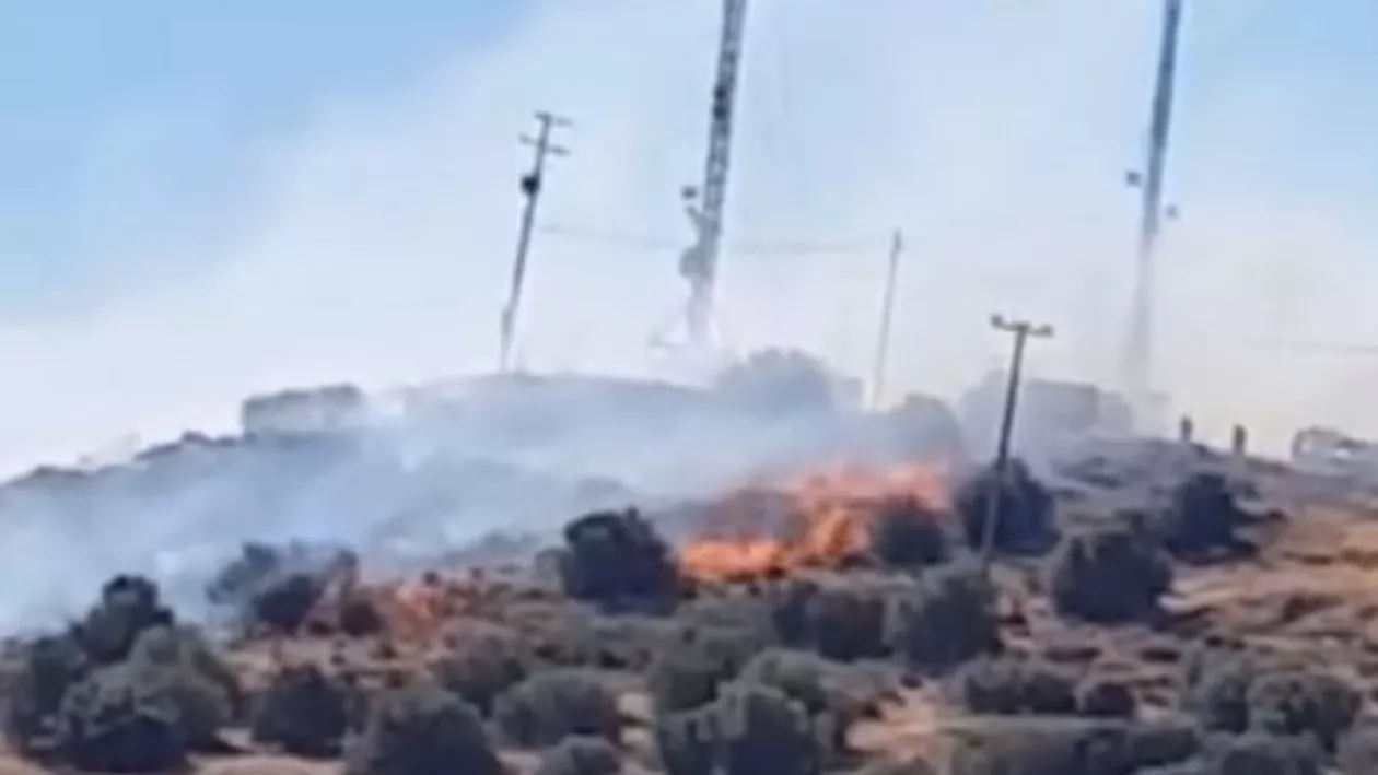 Incendii de vegetație de proporții în Grecia. Un nor de fum a plutit deasupra Atenei (VIDEO)
