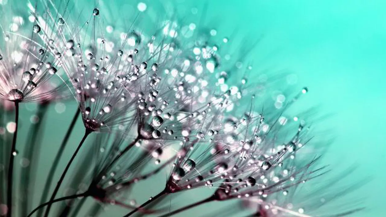 Prognoza meteo, azi, 13 iulie 2020. Meteorologii anunță vreme rece în toată țara