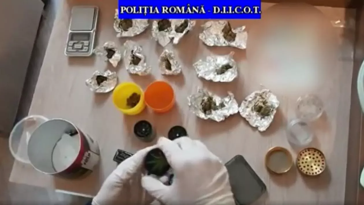 Percheziții DIICOT la traficanți de droguri din Brașov: Substanțele interzise erau distribuite în cluburile de pe Valea Prahovei