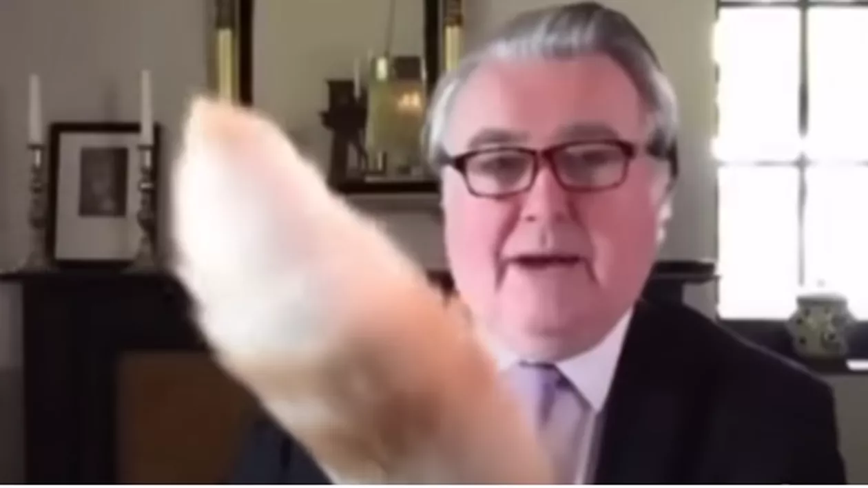 Parlamentar scoțian, viral după ce pisica sa a întrerupt o întâlnire pe Zoom: „Îmi cer scuze pentru coada pisicii mele”  (FOTO și VIDEO)