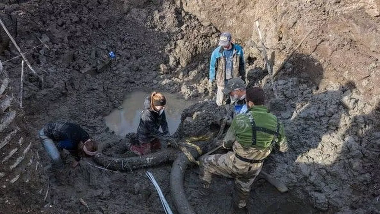 A vrut să-şi facă o fântână în curtea casei. A săpat adânc, dar a avut o descoperire istorică. S-a speriat, a chemat poliţia