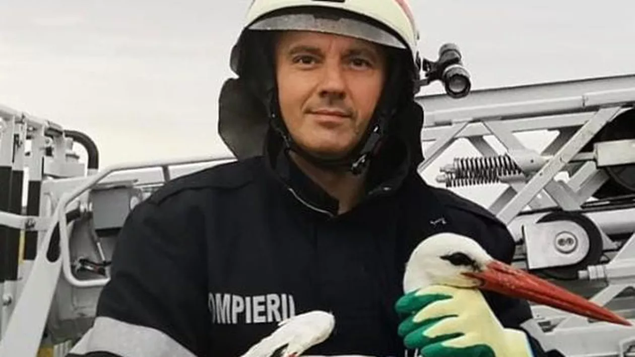 O lecție de omenie de la salvatori: „Viața trebuie respectată și prețuită ...” (FOTO)