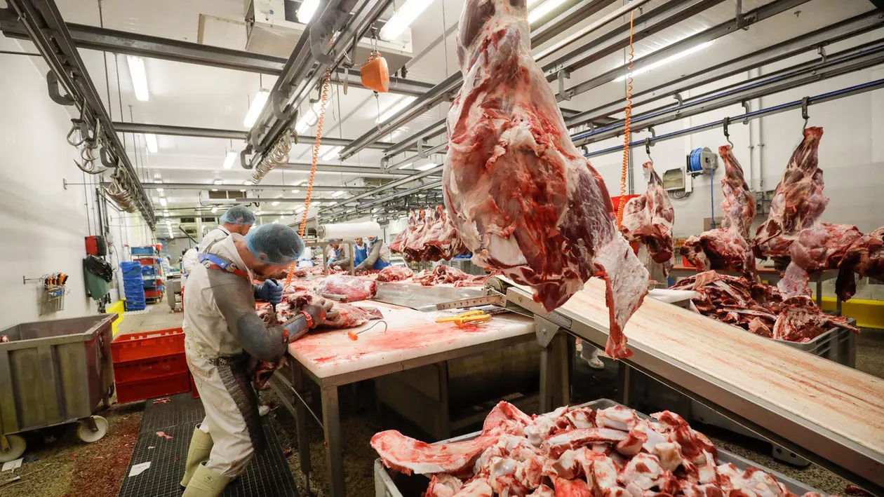 CORONAVIRUS | Focar de infecție la un abator din Belgia. 14 cetățeni români, testați pozitiv cu COVID-19