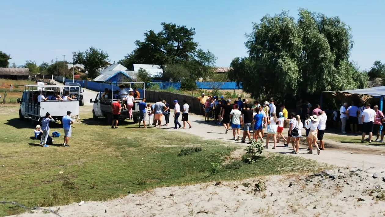 Aglomerație de week-end în Pădurea Letea (FOTO)