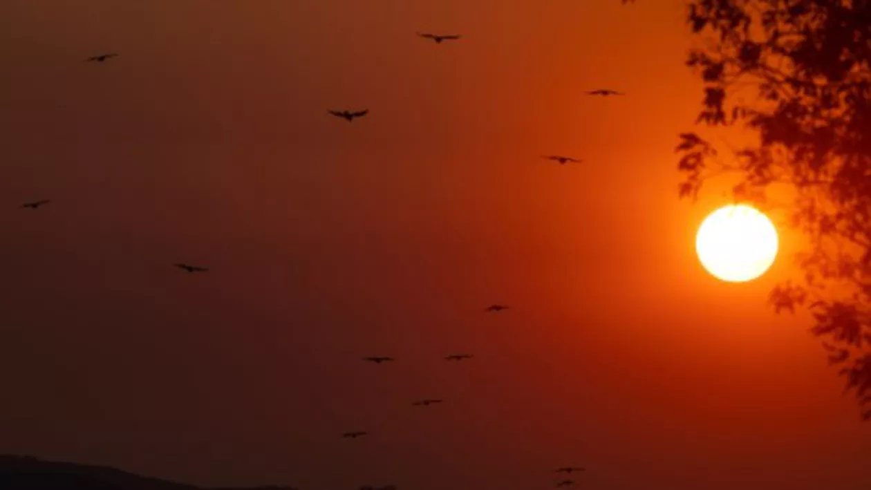 ANM: Cod galben de caniculă și disconfort termic până la sfârșitul lunii august