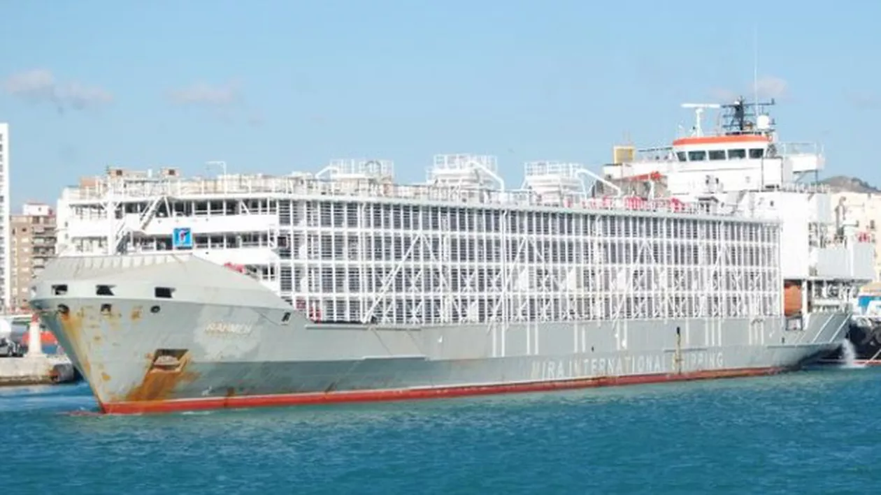 O navă care transporta aproape 6000 de vite, scufundată de taifun în Marea Chinei de Est. 42 de membrii ai echipajului sunt dați dispăruți