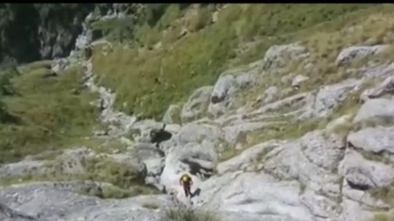 Tânărul dispărut în Bucegi acum o lună a fost găsit mort, după ce ploile i-au adus rucsacul într-o vale (VIDEO)