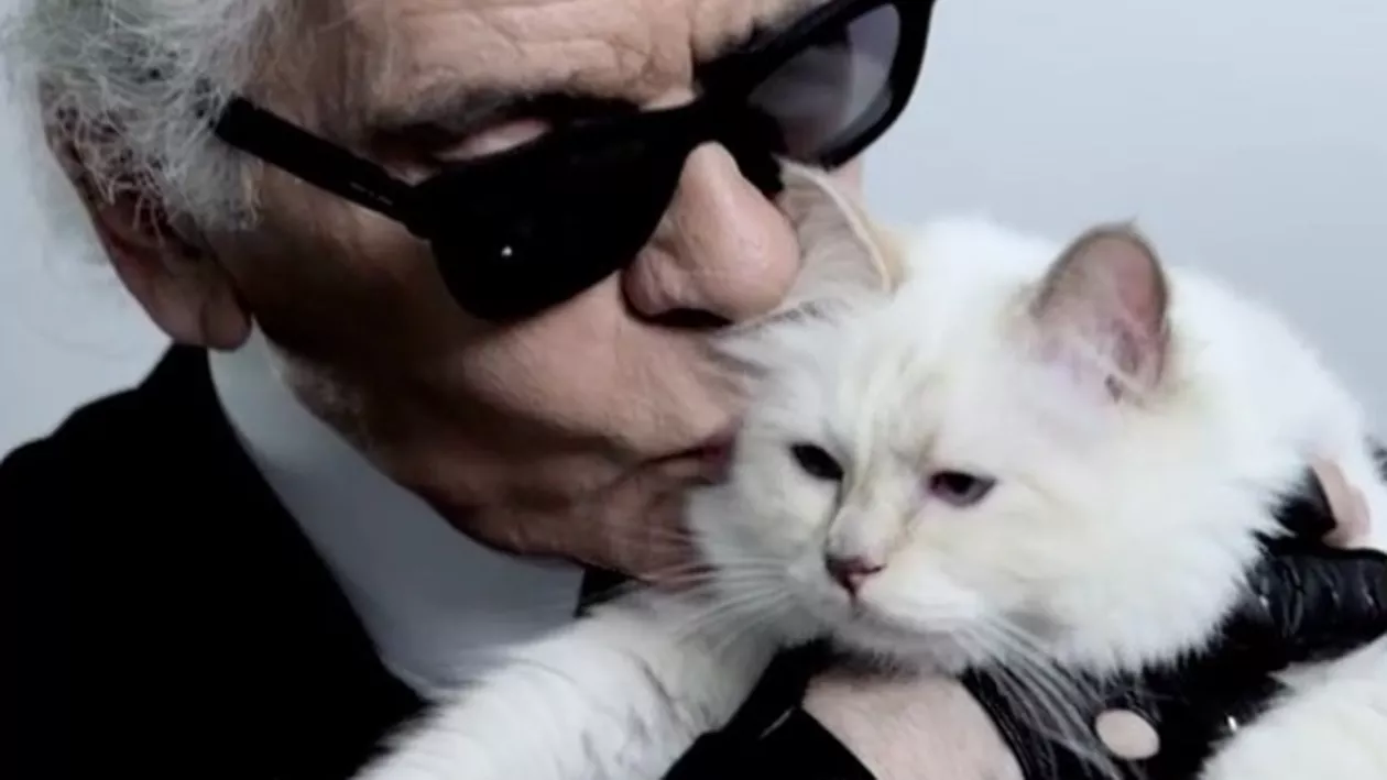 Ce s-a întâmplat cu Choupette, pisica celebră a lui Karl Lagerfeld