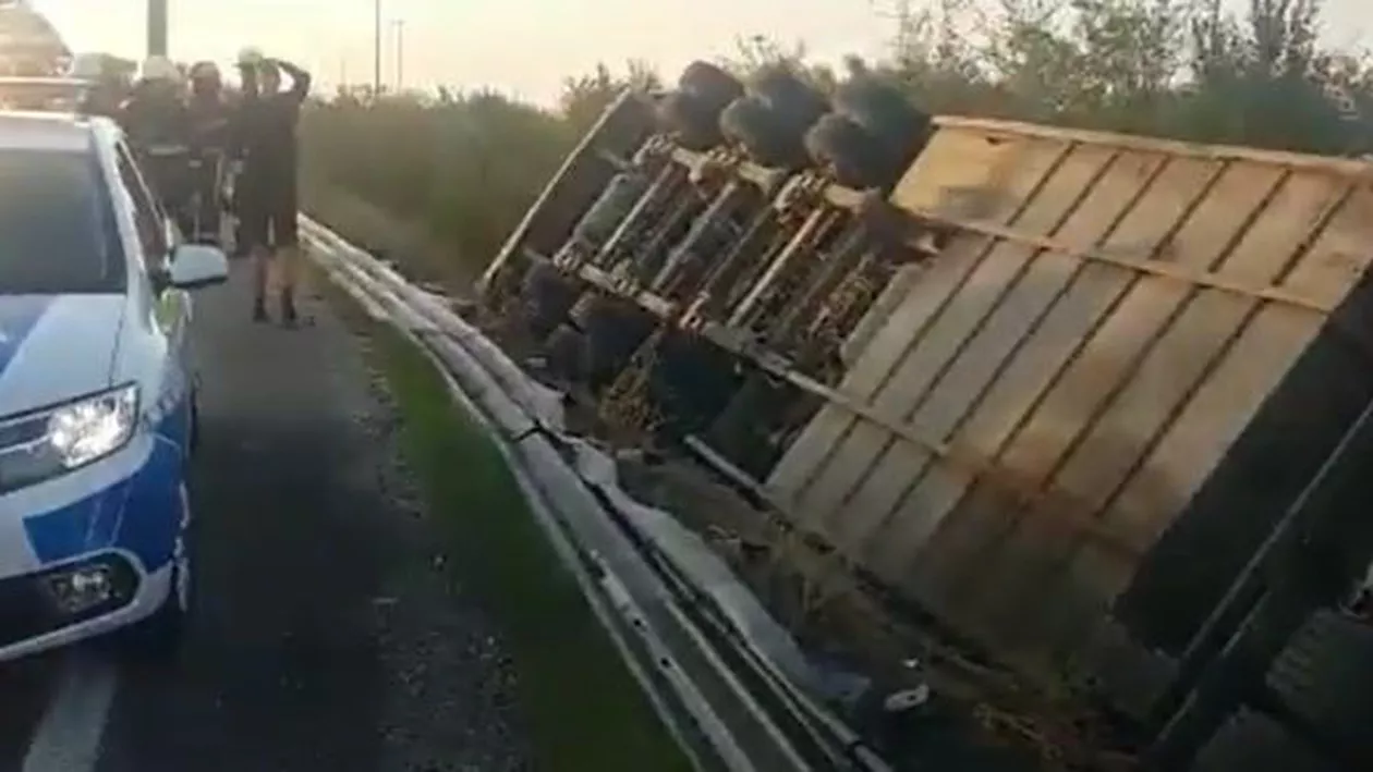 Un camion cu 200 de porci s-a răsturnat pe A1. Animalele, blocate sub remorcă (VIDEO)