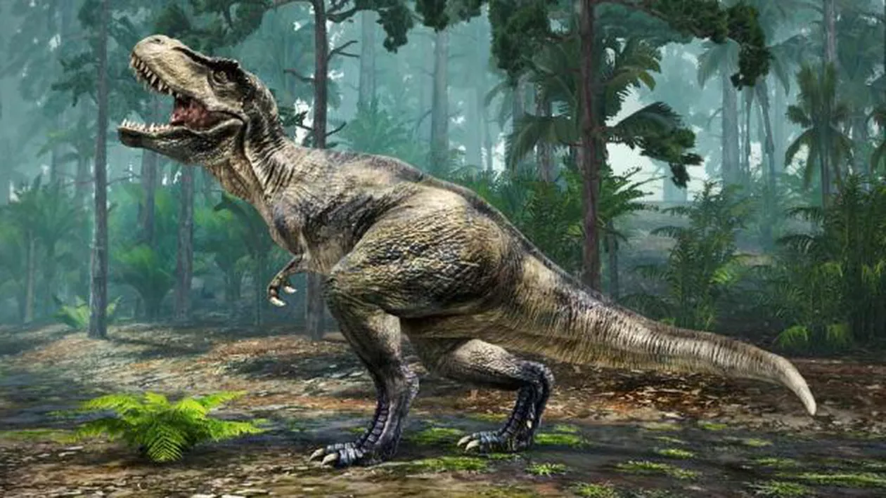 Dinozaur scos la LICITAŢIE: Care este preţul de pornire