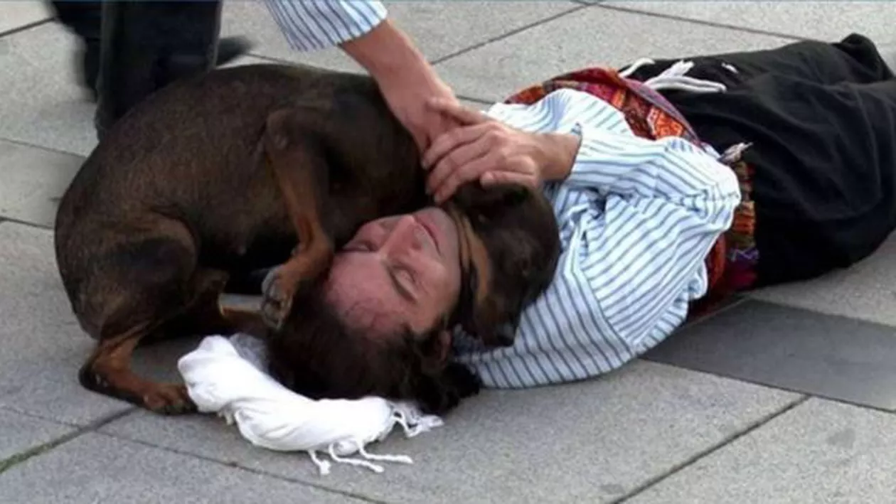 Gestul emoționant al unui câine maidanez. A întrerupt un artist stradal din Istanbul ca să îl poată îngriji, crezând că acesta este rănit (VIDEO)