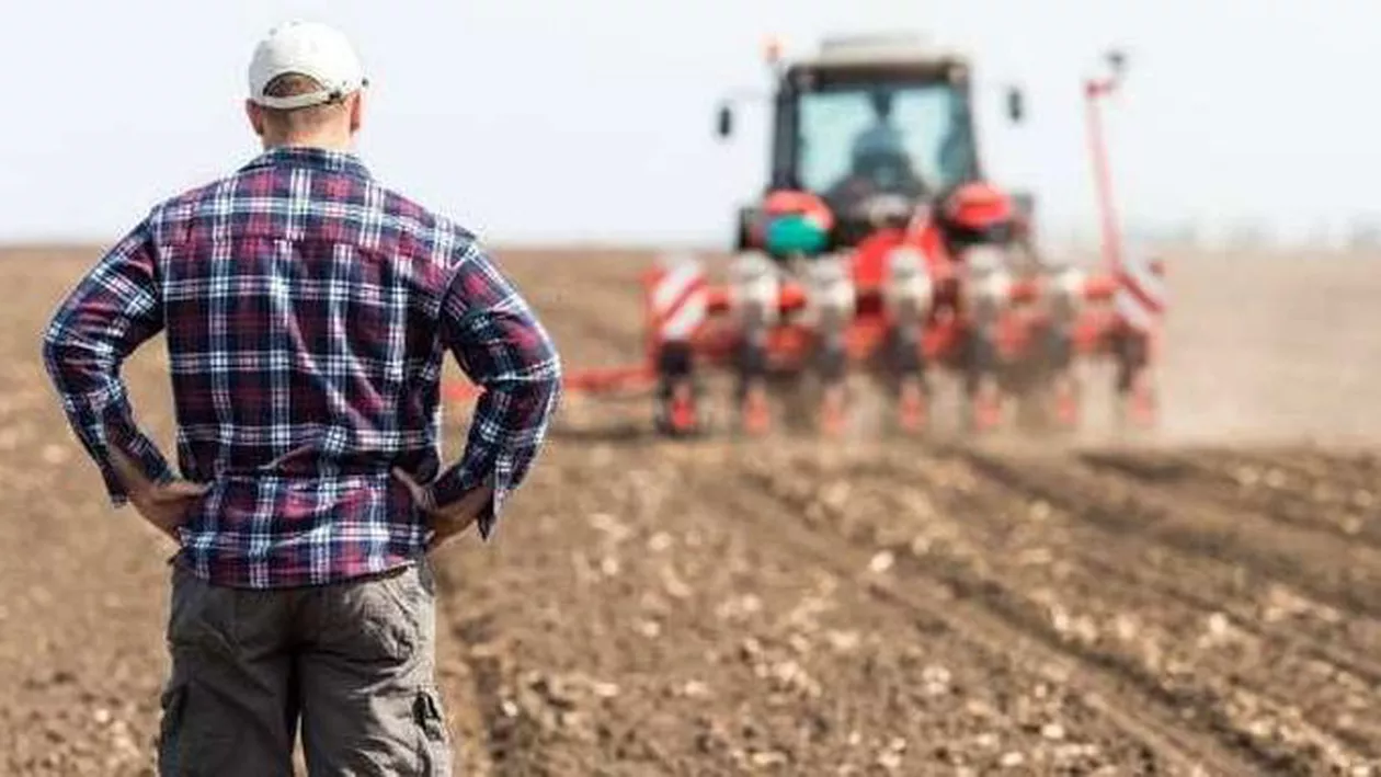 EXCLUSIV // Cifre catastrofale în agricultura din România. Fermierii trag semnalul de alarmă: „Nici seceta din 1946 nu a avut o asemenea anvergură