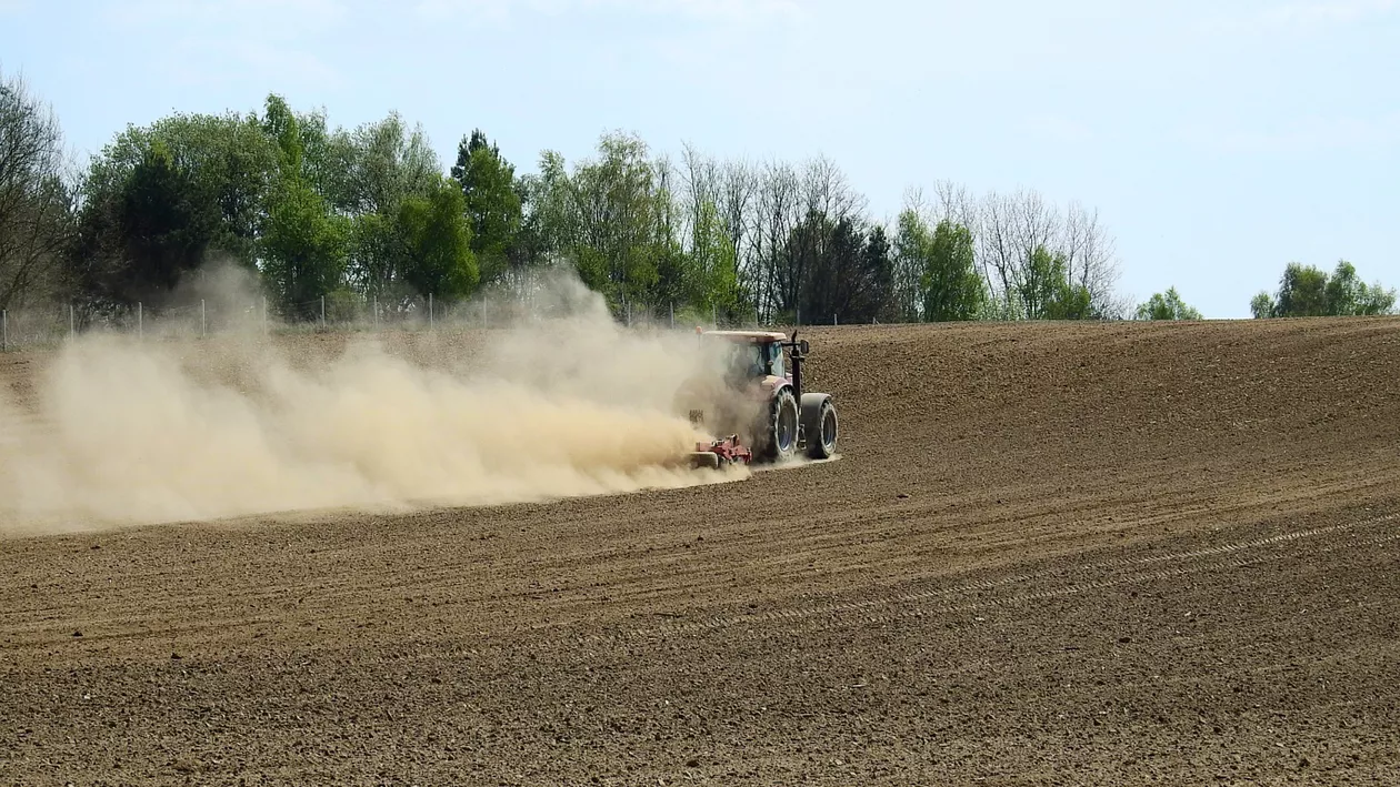 EXCLUSIV //  Cel mai dificil an agricol. Cercetătorii de la SCDA Brăila: Producţiile au fost afectate într-o măsură fără precedent de lipsa precipitaţiilor şi arşiţei