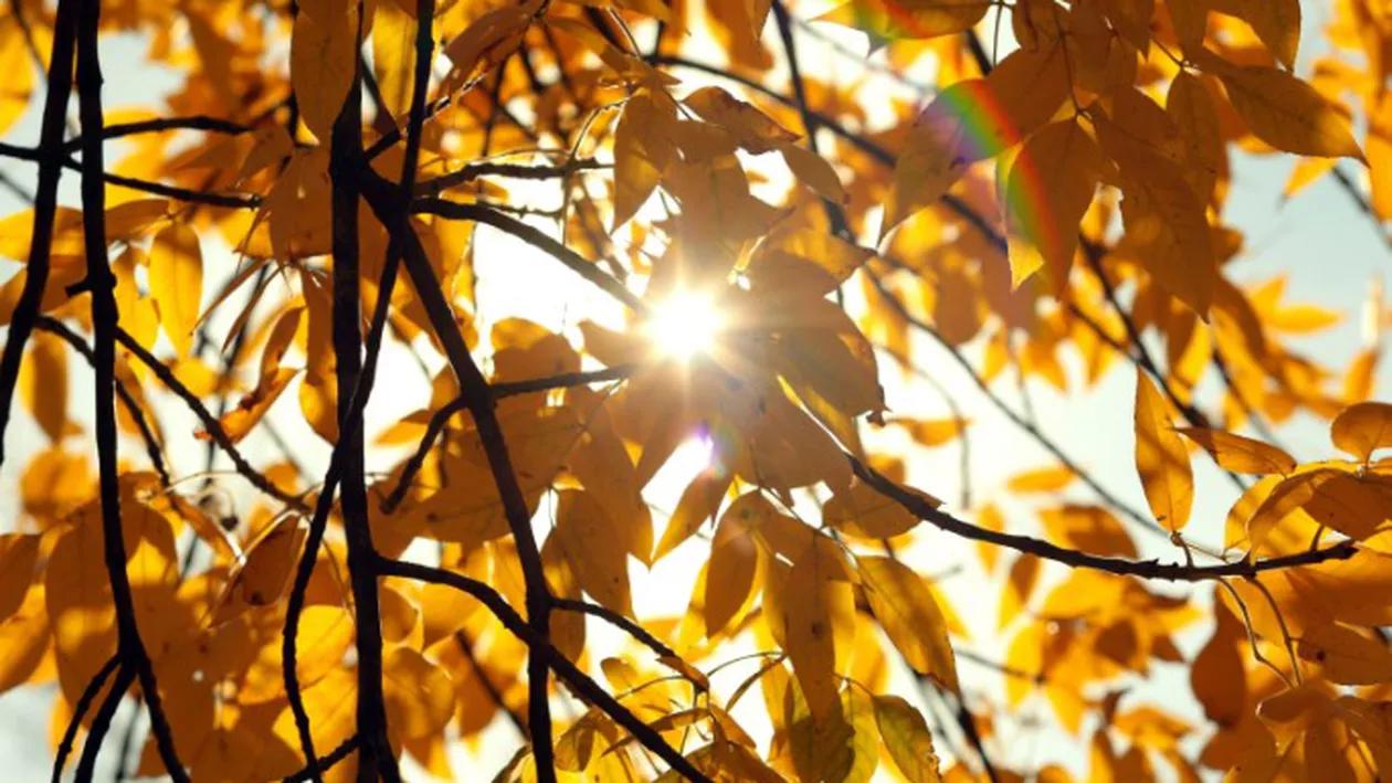 Prognoza meteo weekendul 2-4 octombrie 2020. Vremea se încălzește treptat și atinge valori termice peste nivelul obișnuit