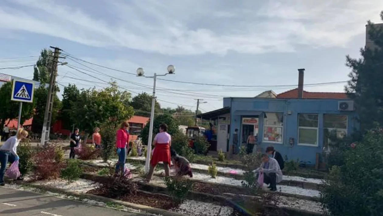 La Arad, un primar și-a scos funcționarii la îngrijirea spațiilor verzi, în timpul unei pene de curent (GALERIE FOTO)
