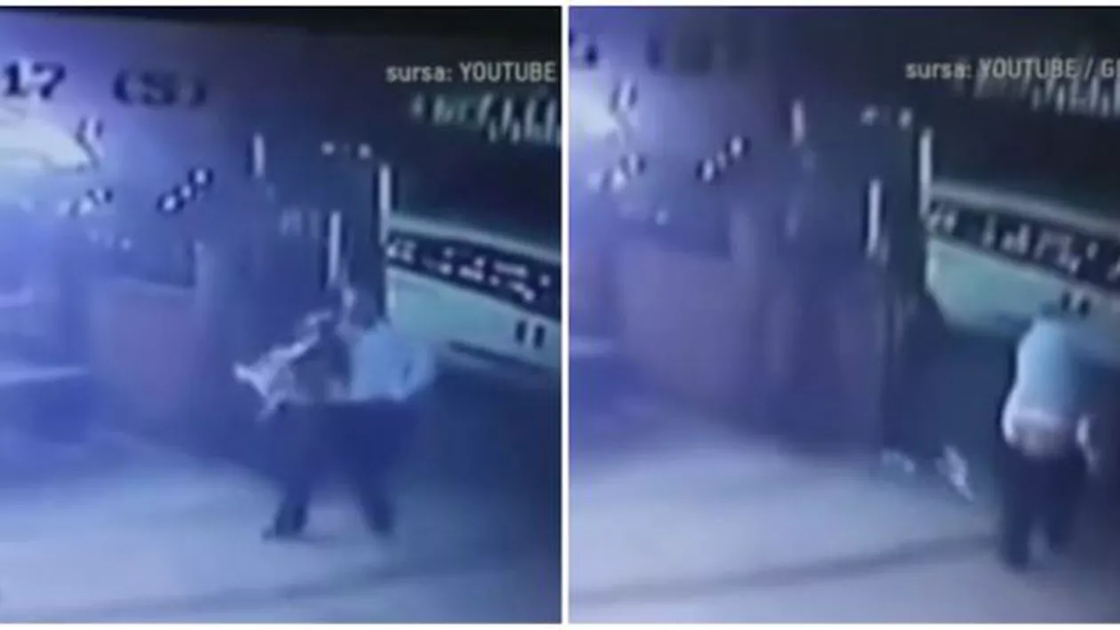 Viralul zilei. Un bărbat își plimba liniștit cățelul, dar o pisică războinică i-a atacat. Ce a urmat este greu de imaginat (VIDEO)
