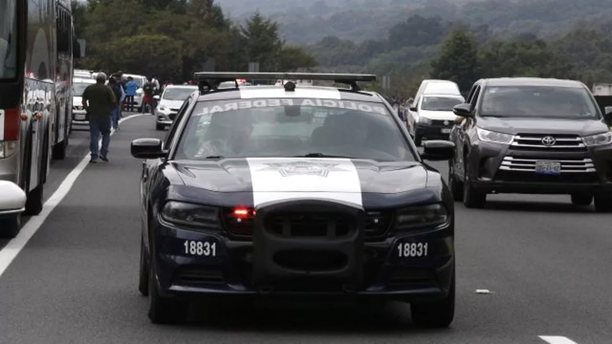 Spania: Poliția a destructurat o rețea de traficanți, formată din români. Aceștia ar fi exploatat imigranți ilegali marocani, români și moldoveni, în fermele spaniole