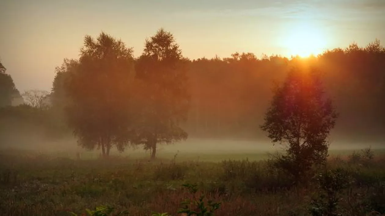 Prognoza meteo. Cum va fi vremea în săptămâna 02-08 noiembrie 2020