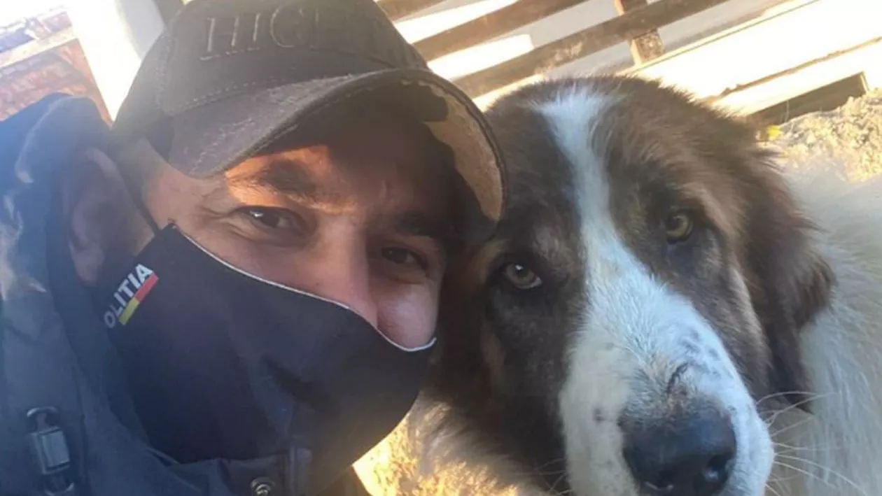 Adrian se afla în filtru, când un câine flămând s-a apropiat de mașina de poliție. A fost momentul când și-a dat seama că trebuie să facă ceva