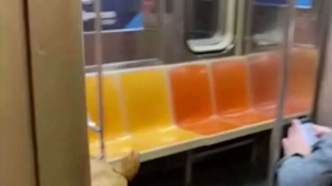 S-a urcat în metrou, când a văzut ceva cu totul neașteptat. I-a stat inima în loc: „Doamne ferește, este uriaș” (FOTO)