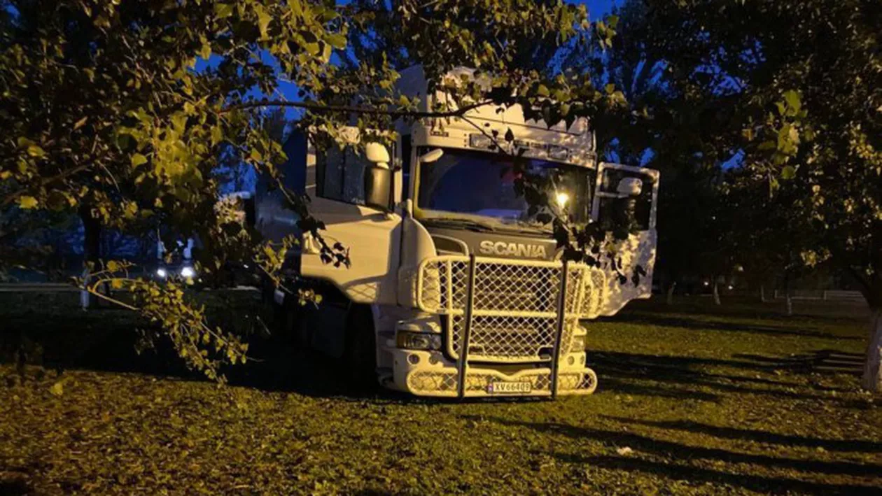 Incident la Vama Nădlac: Ca să evite controlul de la frontieră, un șofer turc a trecut cu TIR-ul printre copaci