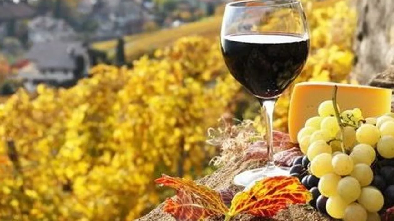 Comisia Europeană, ajutor de 12,4 milioane de euro pentru producătorii de vin din România, în contextul pandemiei