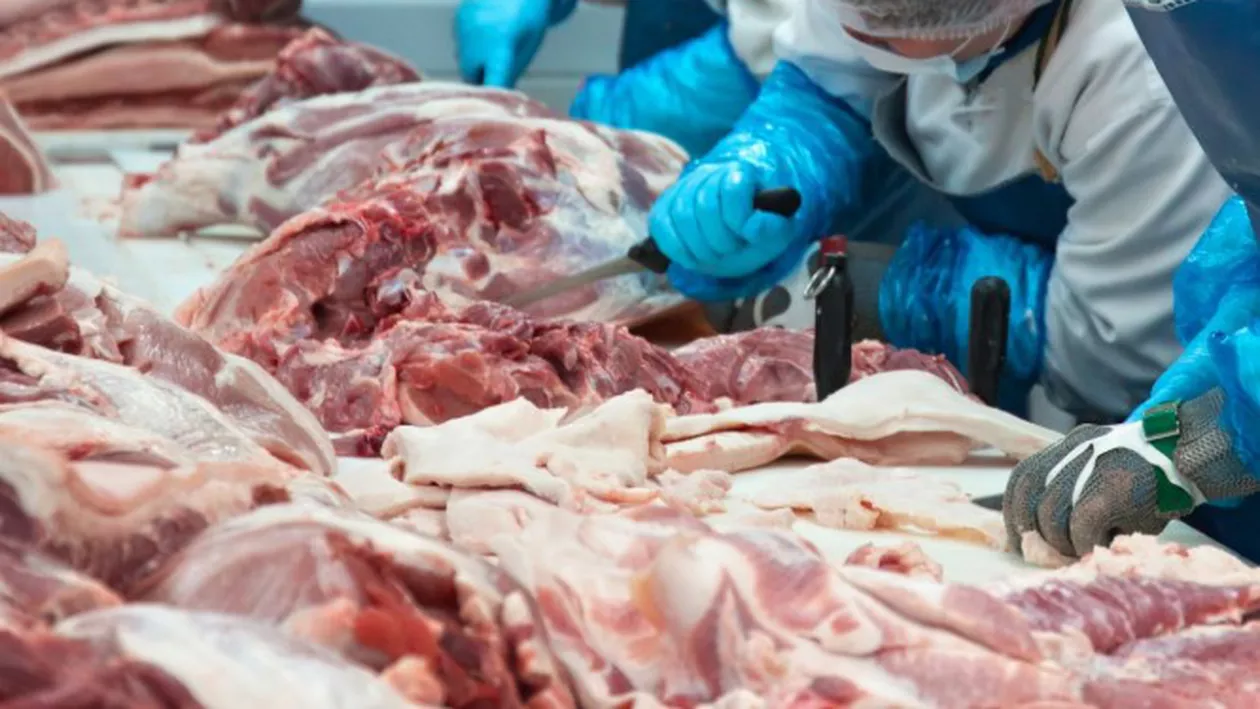 CORONAVIRUS | Stocurile de carne de porc se acumulează în Europa