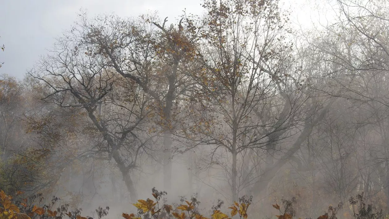 Avertizarea nowcasting. Meteorologii au emis cod galben de ceață pentru aceste regiuni din România
