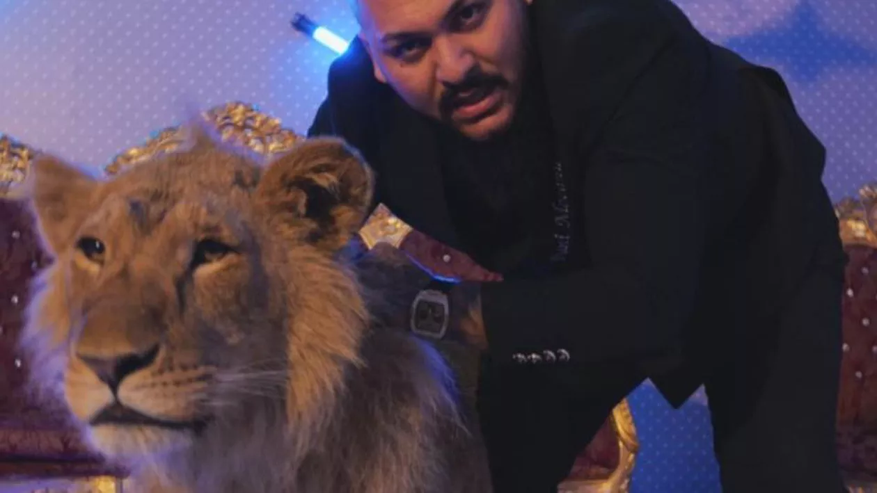 Ce pedeapsă riscă Dani Mocanu pentru videoclipul în care apare un leu rănit