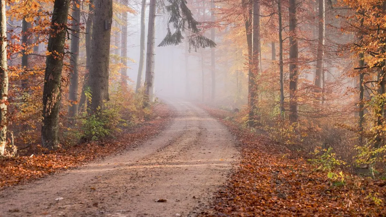 Cod galben de ceață în 6 județe din România, anunțat pentru după-amiaza zilei de joi