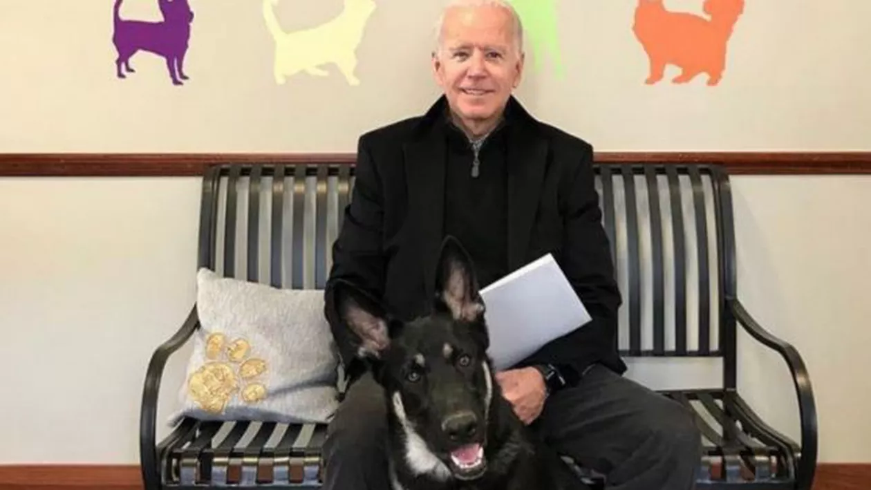 Joe Biden a suferit un accident în timp ce se juca alături de câinele său. Ce i-a transmis Donald Trump