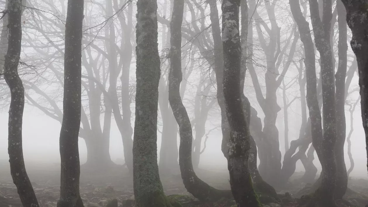 Prognoza meteo, azi, 19 decembrie 2020. Vreme caldă în cea mai mare parte a țării, dar cerul rămâne noros