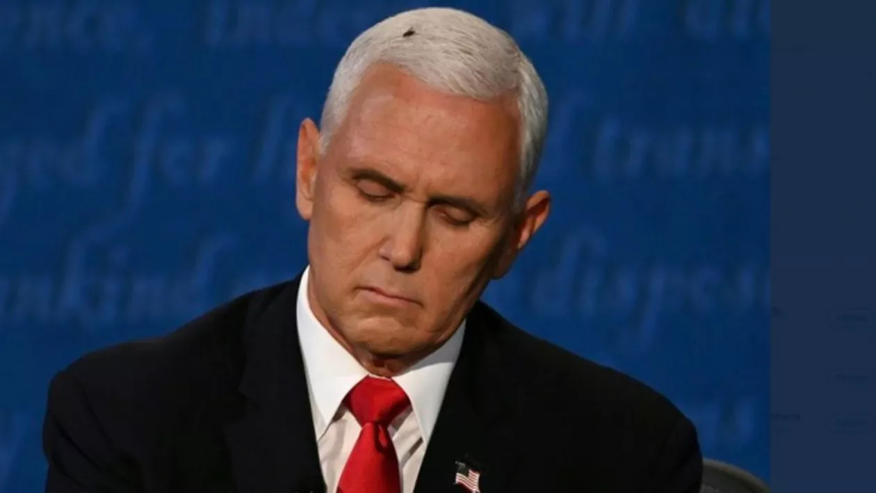 Pentagonul anunță că vicepreședintele Pence, nu Donald Trump, a aprobat desfășurarea gărzii naționale