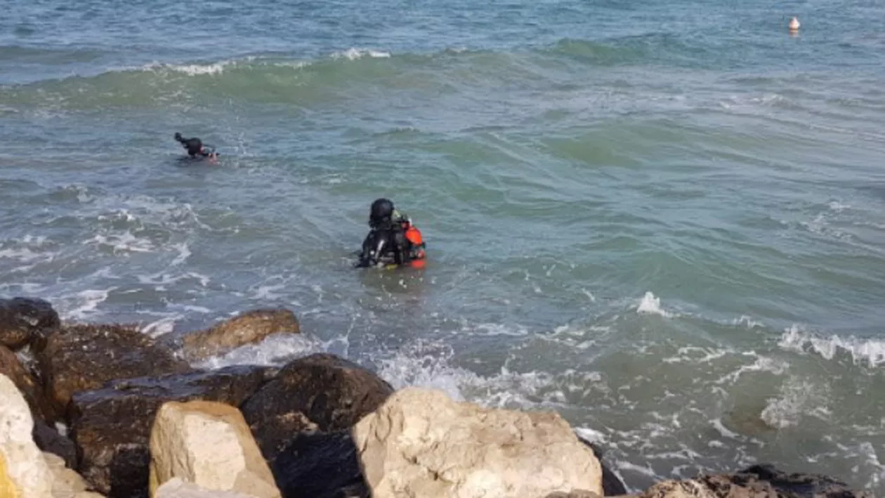Rechin decapitat, găsit pe digul de la intrarea în stațiunea Mamaia