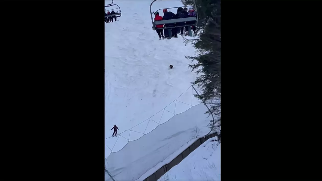 Turist urmărit de un urs pe pârtia Clăbucet din Predeal: Cum a fost izgonit animalul