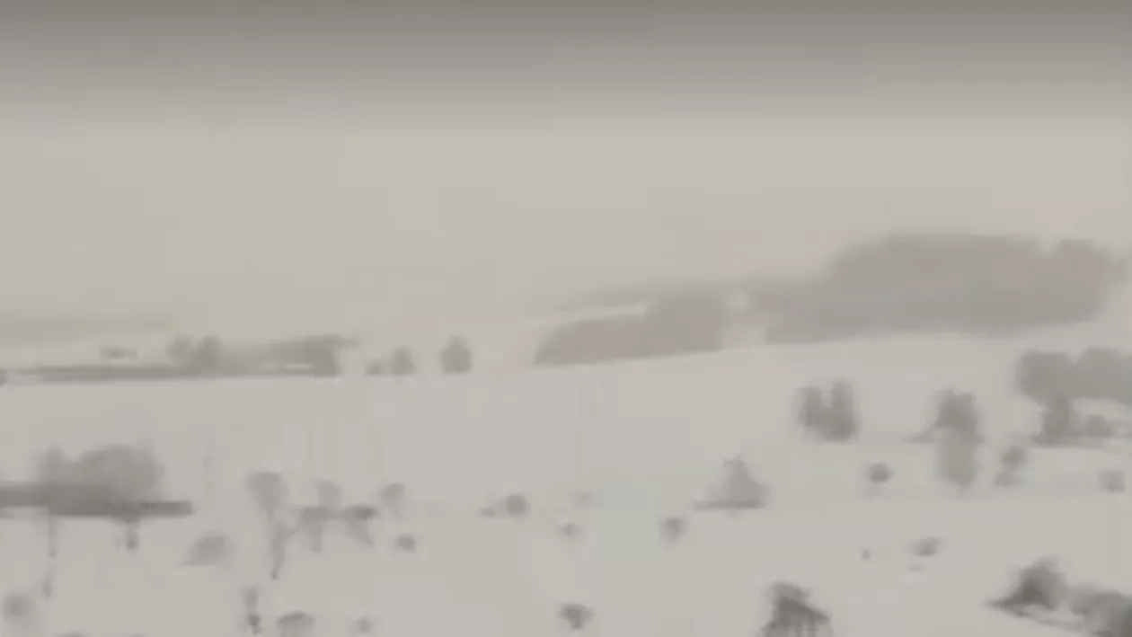 Iarnă autentică în sud-estul țării. Strat de zăpadă de 12 cm în București. Șoferii sunt avertizați: Vântul va scădea vizibilitatea / Cum va fi vremea în perioada următoare (VIDEO)