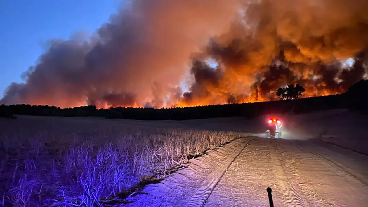 Atenționare de călătorie de la MAE. Incendii puternice de vegetație în statul Australia de Vest. Autoritățile au emis o alertă de urgență