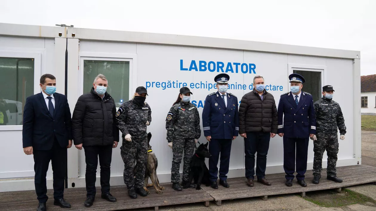 În România sunt antrenaţi câini pentru detectarea persoanelor infectate cu Covid-19