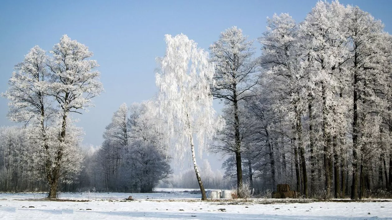 Germania a înregistrat cea mai mare oscilaţie săptămânală de temperatură de la debutul măsurătorilor meteo