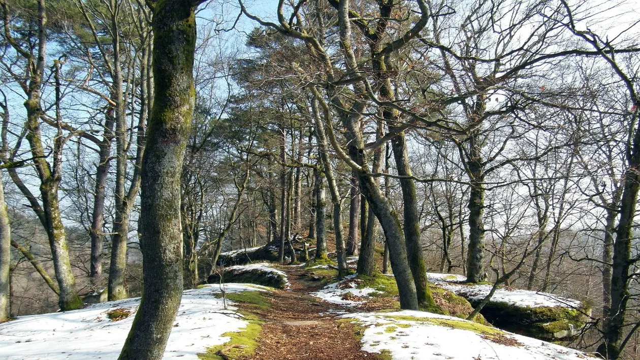 Prognoza meteo, luni, 29 martie 2021. Temperaturi sub cele normale pentru această perioadă, în cea mai mare parte a țării