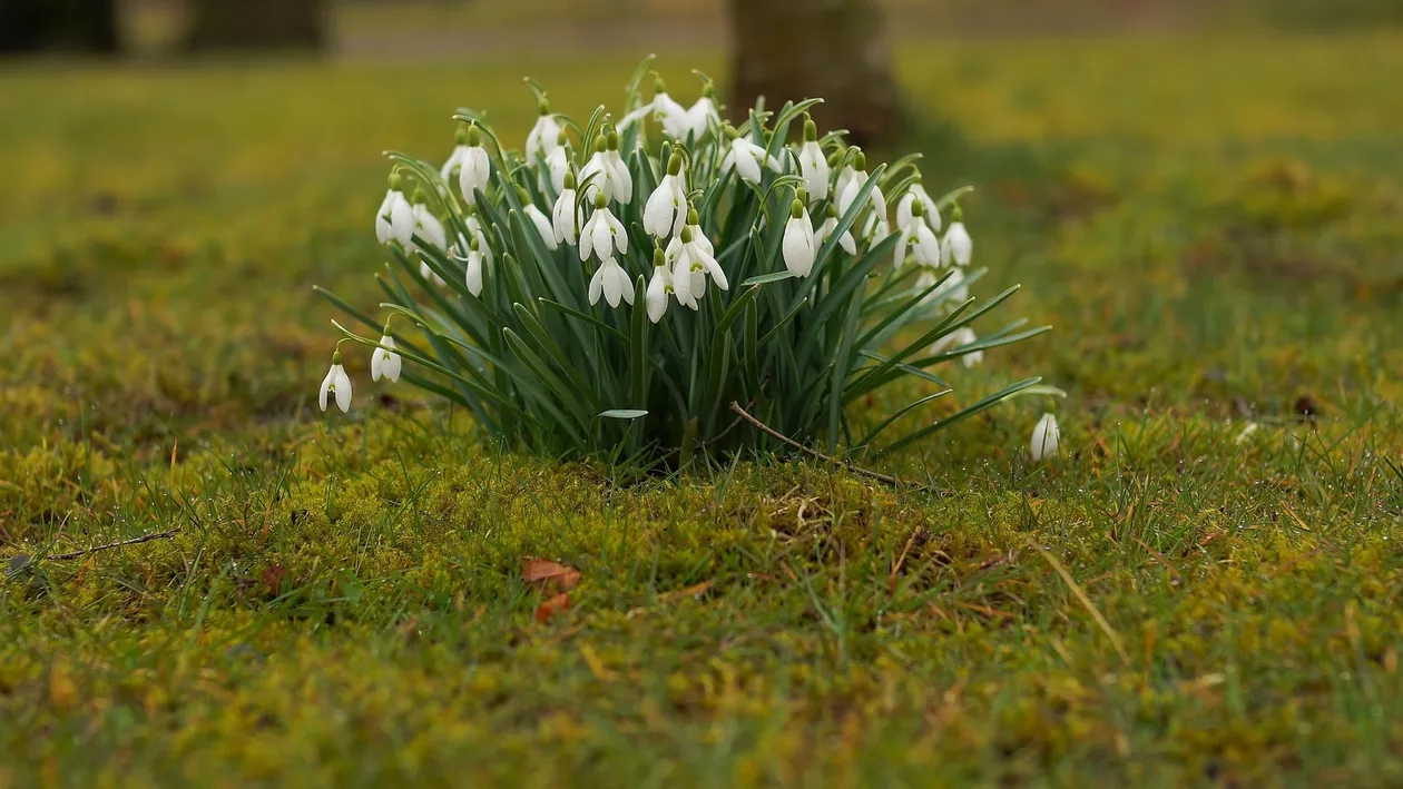 Prognoza meteo, azi, 18 aprilie 2021. Vreme închisă și temperaturi mai scăzute decât cele normale pentru această perioadă