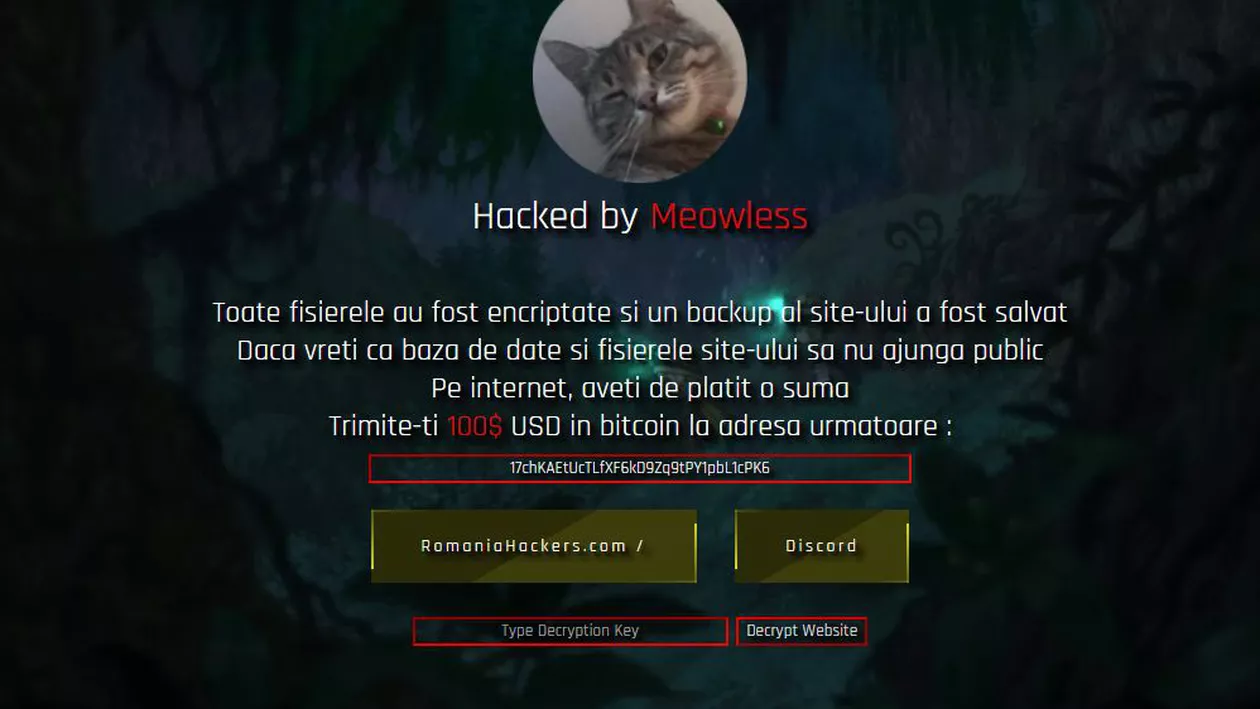 Site-ul Consiliului Județean Cluj, spart de hackeri. Ei cer 100 de dolari în bitcoin