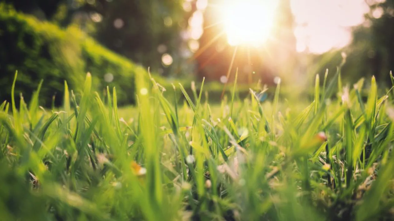 Prognoza meteo, azi, 11 mai 2021. Temperaturi ridicate pentru această perioadă