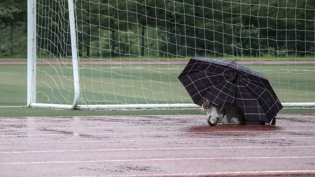 Prognoza meteo, azi, 16 mai 2021. Vreme în general instabilă. Vor fi averse și descărcări electrice