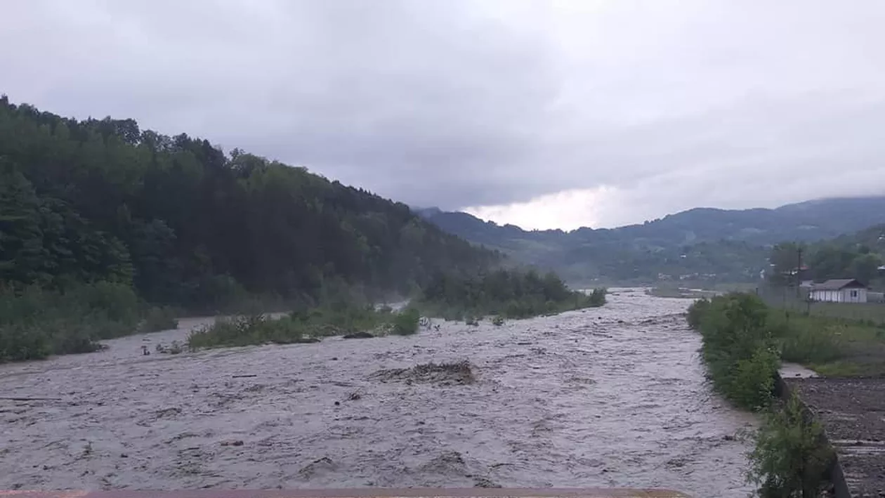 O minoră a fost salvată din apele învolburate ale Trebeşului. Fugise dintr-un centru de plasament și a încercat să se sinucidă